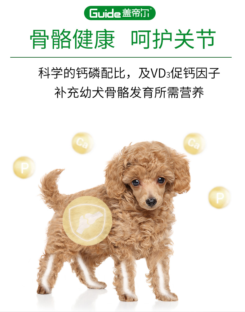 盖帝尔幼犬20kg_08