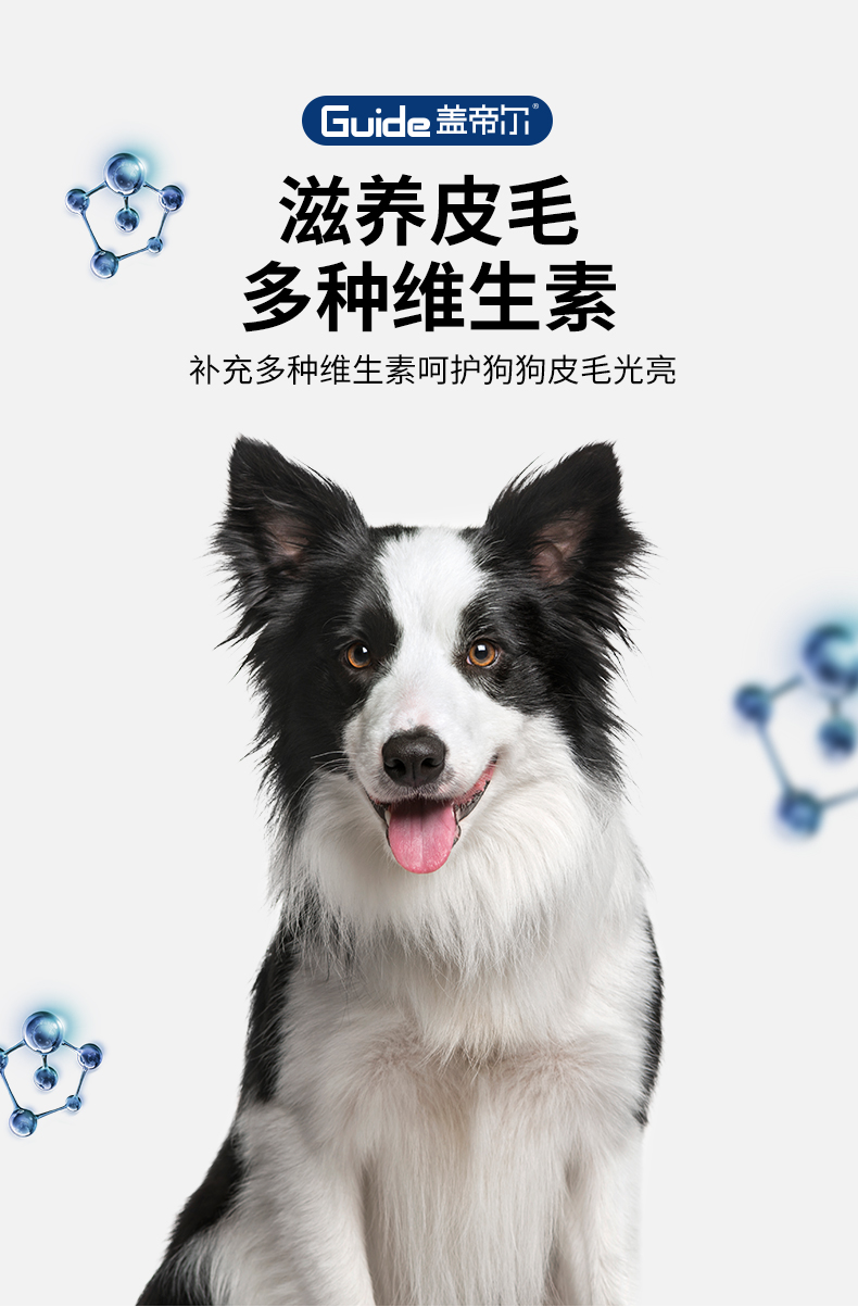 盖帝尔20kg成犬_04