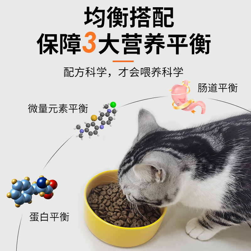 安肯经典系列全价通用猫粮10kg